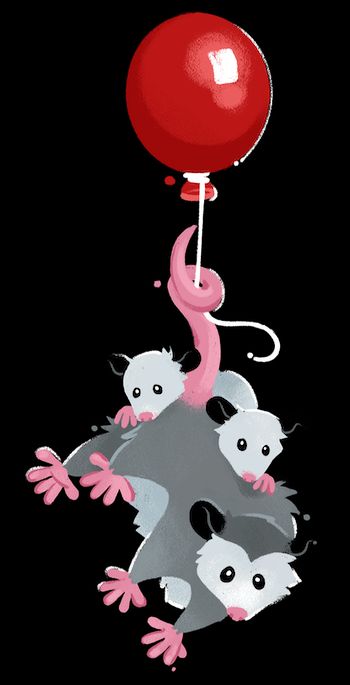 A possum parent and two possum kids hanging from the iconic red balloon